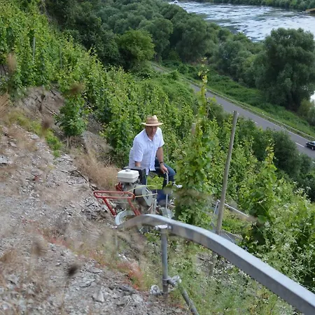 بيت ضيافة Weingut***pension Guenther Scholtes